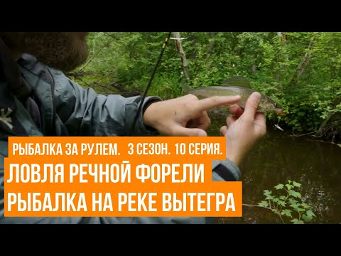Ловля речной форели \ Рыбалка на реке Вытегра \ Рыбалка за рулем \ 3 сезон