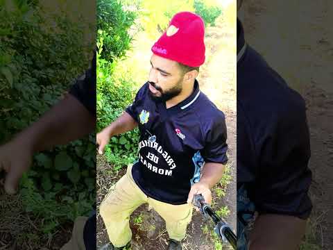 هادي هي السخرة ولا فلا المغرب مشاهير نكت