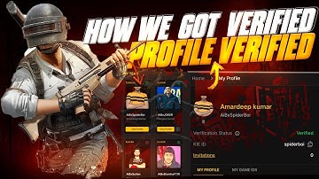 Bgis in game Qualifiers | Profile Verification Status Unverified | Bgis profile unverified