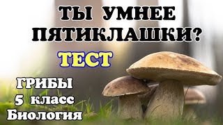 ТЕСТ на знание ГРИБОВ 🍄(Биология 5 класс) 🍄