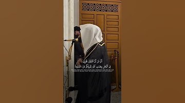 سورة لقمان | د. أحمد بن صابر الغامدي | مسجد قباء | رمضان ١٤٤٦ هـ