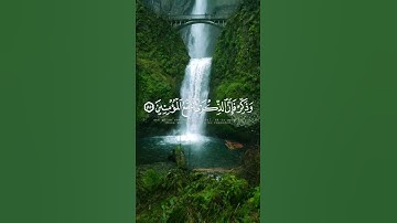 تلاوة هادئة لآيات من سورة الذاريات (55-58) #تدبر_القرآن #القرآن_الكريم #اكسبلور