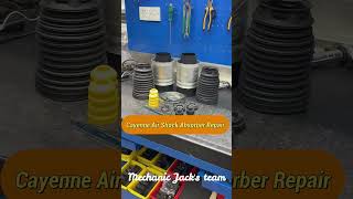 Cayenne Air Shock Absorber Repair