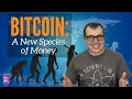 Bitcoin: A New Species of Money - An Evolutionary Perspective on Currency