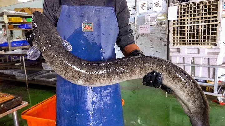 Giant Eel Cutting Skills, Giant Eel Steak / 巨大鰻魚切割技能, 鰻魚肉排 - Taiwanese Food - DayDayNews