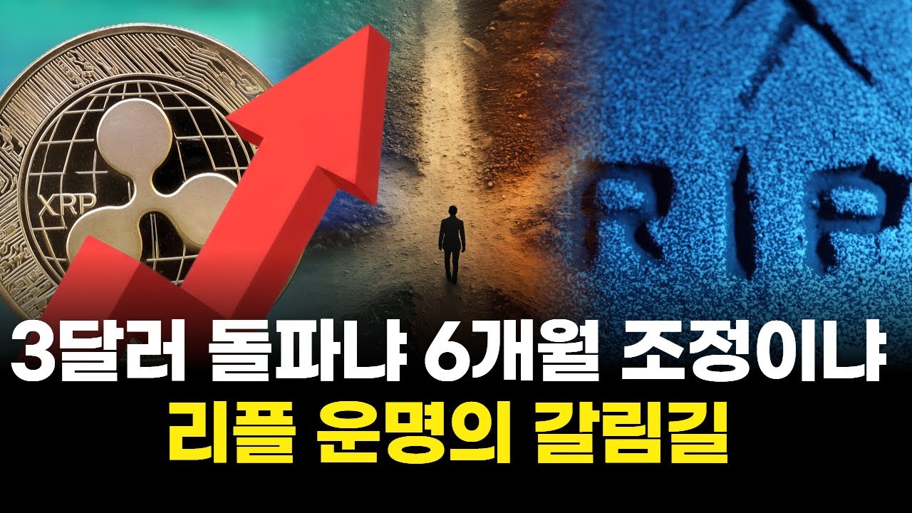 3달러 돌파냐 6개월 조정이냐…리플 운명의 갈림길
