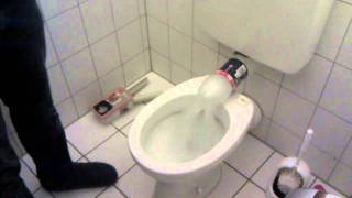 Fucking Rainbow Power toilet flush