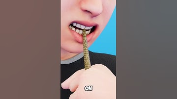 What Should You Do To Escape A Snake