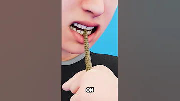 What Should You Do To Escape A Snake S Bite 