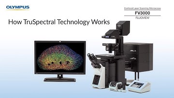 How TruSpectral Technology Works