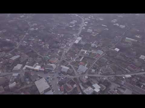 ვაჟა გაფრინდაშვილის მხარდმჭერთა კოლონა