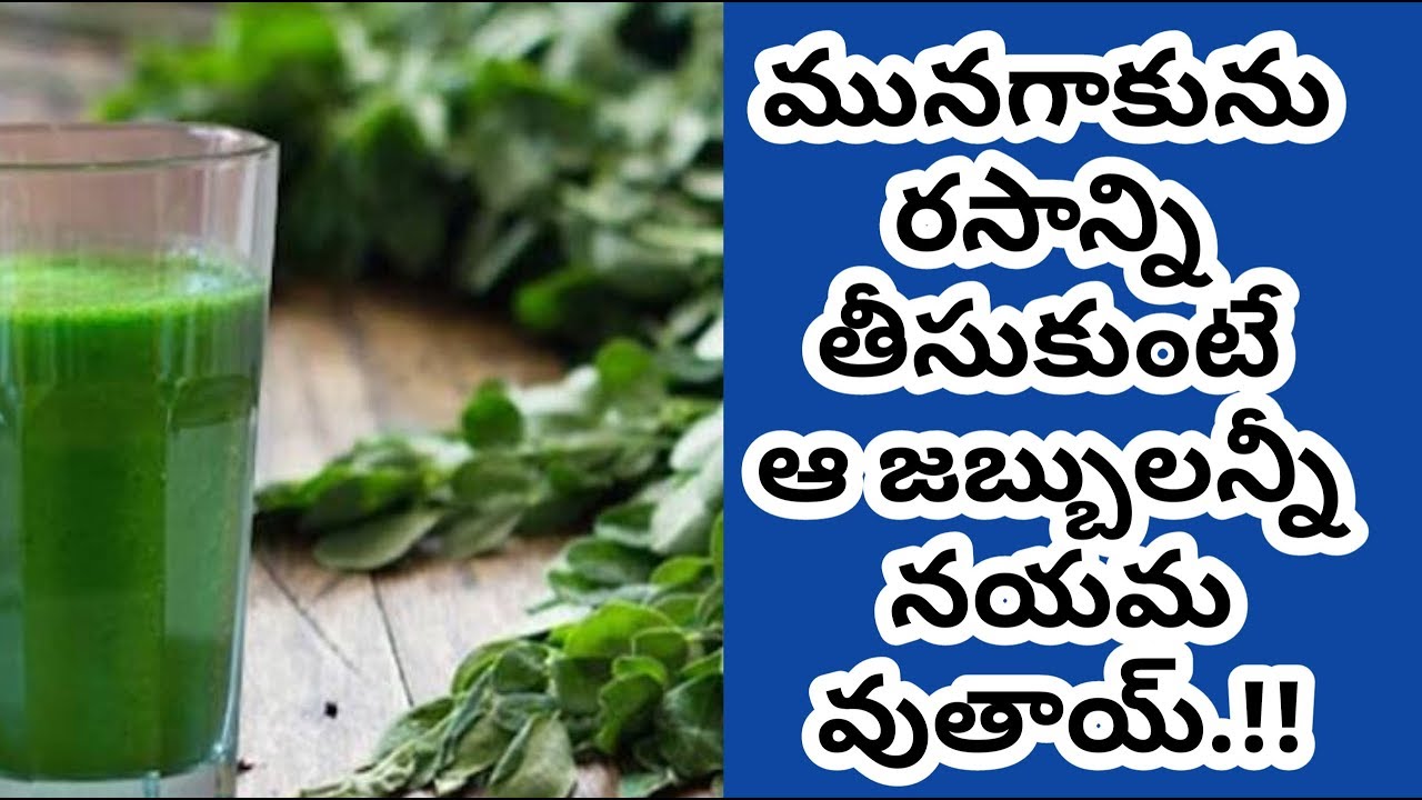 Health Benefits Of Drumstick Leaves Juice Manandari Health YouTube
