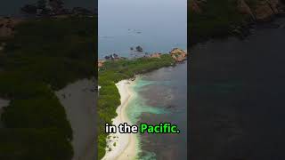 Pitcairn Islands: Discover the Remote Pacific!|| @GlobalExplorer4 #travel #oceanparadise