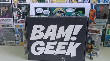 Bam Geek Box December 2020 Unboxing