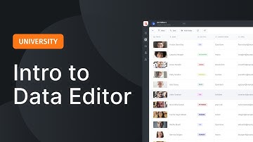 Data Editor - Introduction and overview