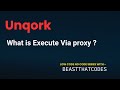 Unqork  what is execute via proxy 