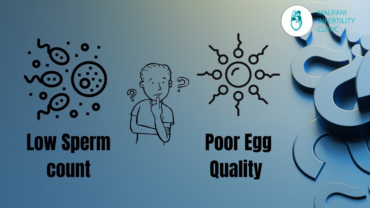 Low Sperm Count or Poor Egg Quality - What is the Bottle Neck for Pregnancy?