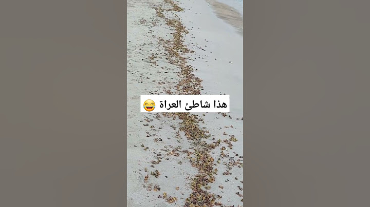 شاطئ العراة في موزمبيق 😂 #هاشتاقات #explore #fishing #mydubai #العراق #insidedubai #religion #short