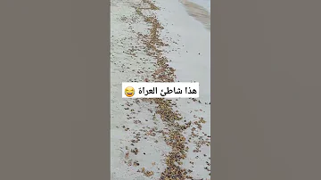 شاطئ العراة في موزمبيق هاشتاقات Explore Fishing Mydubai العراق Insidedubai Religion Short 