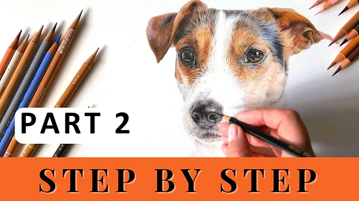 PART 2 - How to Draw a Jack Russell Dog - Real Time - Step by Step - Colour Pencils for Beginners.