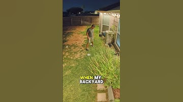 Ring Finally Goes 4K! 🔥 #lifehackster #ringcamera