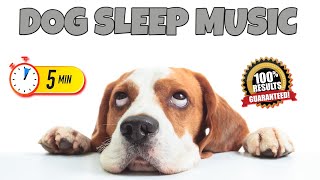 Sound to Make Dog Sleep | 5 Minutes Challenge