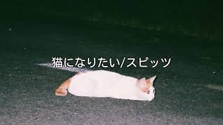 Video thumbnail of "スピッツ 猫になりたい"