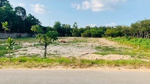 Đất Mặt tiền đường Tỉnh Lộ 6 Củ Chi 2087m giá 4,3 tỷ Thương lượng