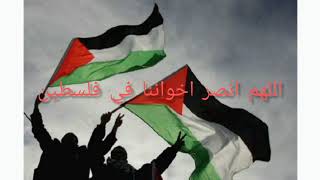 اللهم انصر اخواننا في فلسطين