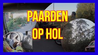 Paard op Hol VOLUNTEERS DUTCHFIREFIGHTERS - BRANDWEER LUNTEREN -