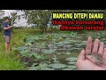 Mancing ditepi danau || ikannya bersarang dibawah teratai