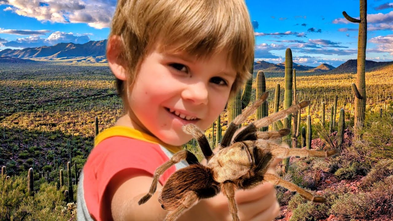 Creepy Desert Creatures! Will They Bite Or Be Friends?