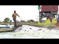 Amazing Fishing. Catch big flsh #2022  | Floating Village