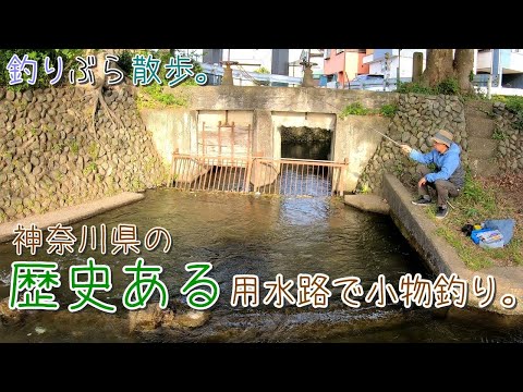 小物釣り】江戸時代の用水路！神奈川県の歴史ある用水路で小物
