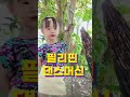 윤하점심먹스신나는댄스