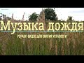 Музыка дождя – красивый релакс для снятия усталости/ music of the rain