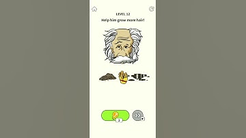 Einstein Brain Games  Puzzles / level 12 / GAMEPLAY