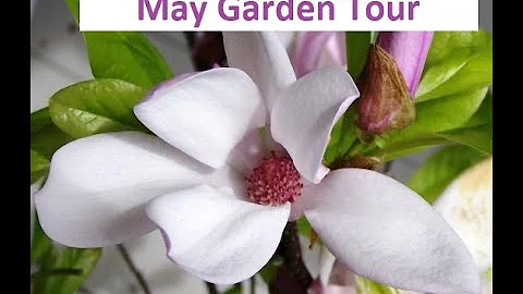 May Flower Garden tour