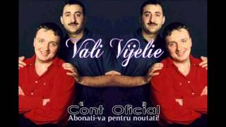 COSTI IONITA & VALI VIJELIE & ADRIAN MINUNE - OF OF OF MOR TOTI TIGANII (OFFICIAL TRACK)