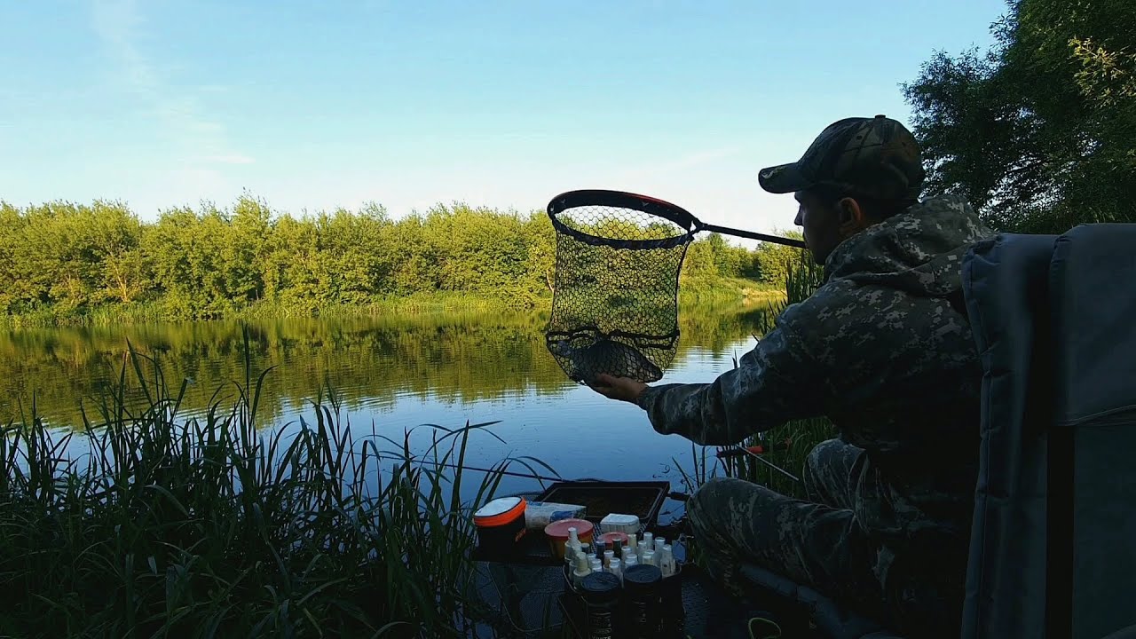 Фидерная рыбалка в верховьях Дона! Ищу леща в июне