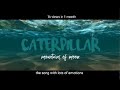 Caterpillar lyrics | mountains of the moon