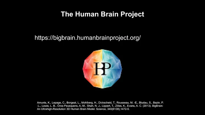 JL Pascual   Cutting The Brain   Sagittal