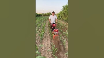 Trencher Micro-tillage machine Save time, effort, and labor. A good helper for farmers.
