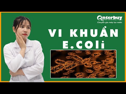 Video: E coli có hiển vi không?
