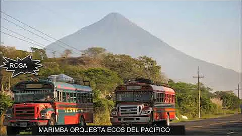 ROSA   MARIMBA ORQUESTA ECOS DEL PACIFICO