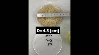 Marangoni Effect: Effect of Soap Concentration on Clear Zone Diameter