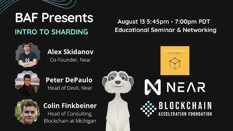 Introduction to Sharding with Alexander Skidanov, Near Protocol