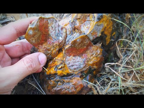 Vídeo: Terapia De Goma De Pedra De Pedra