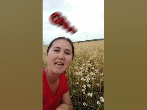 Ромашка на английском языке - YouTube