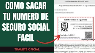 Como Sacar y Descargar Mi Numero de Seguro Social | 2024 | IMSS | NSS